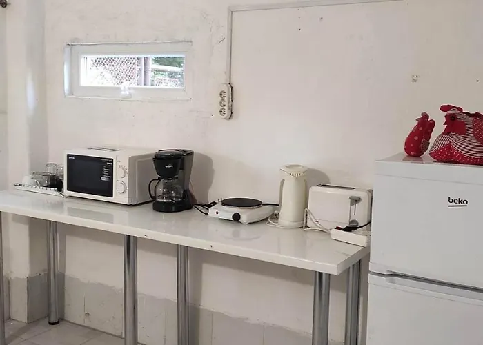 Tisza 56 Vendeghaz *