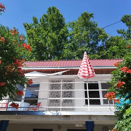 Gasthuis Tisza 56 Vendeghaz Szeged